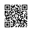 130081216 Ring-set-piston