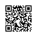 13010-883-003 SSBY-11-13010-YA0-004-RINGSET(STD)