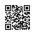 13010-GG2-315 Комплект колец
