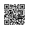 13010-Z1C-800 RINGSET(STD)