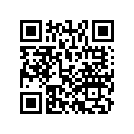 13010-Z4K-004 RINGSET(STD)