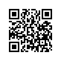 13010-Z5L-004 RINGSET(STD)