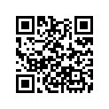 13010-ZG1-004 RINGSET(STD)