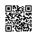 13010-ZG5-010 RINGSET(STD)