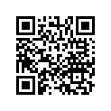 13011-GK4-763 Кольца поршневые (компл.)