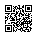 13011-HN0-A01 Кольца поршневые (комплект)