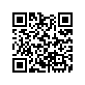 13011-HN8-000 Поршневые кольца