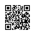 13011-KSV-J10 Комплект колец