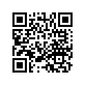 13011-KZ3-305 Кольца поршневые (компл.)