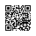 13011-MR8-000 Кольца поршневые (комплект)