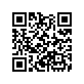 13011-MV4-305 Кольца поршневые (компл.)