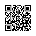 13011-Z1C-800 RINGSET(0.25)