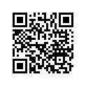 13011-Z5H-004 RINGSET(0.25)