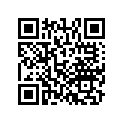 13011-Z5L-004 RINGSET(0.25)