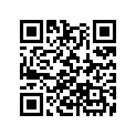 13011-ZG0-003 RINGSET(0.25)