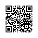 13011-ZG1-004 RINGSET(OS)(0.25)