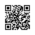 13011-ZG5-010 RINGSET(0.25)