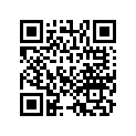 13011-ZH8-941 SSBY-11-13011-ZH8-942-RINGSET(0.25)