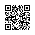 13011-ZW1-000 RINGSET(0.25)