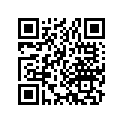 13012-333-005 Ring set (os) (0.25)