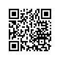 13013-333-005 Ring set (os) (0.50)