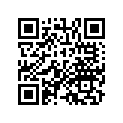 13013-KJ1-306 Комплект колец