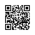 13013-MV1-305 Кольца поршневые (комплект)