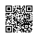 13013-ZA3-000 RINGSET(OS)(0.75)