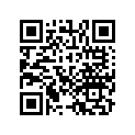 13013-ZH8-941 RINGSET(0.75)
