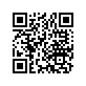 13014-333-005 Ring set (os) (0.75)