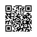 13021-107-760 RING SET (OS) (0.25)