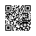 13021-126-752 Комплект колец