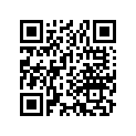 13021-329-005 Ring set (os) (0.25)