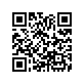 13021-330-005 Ring set (os) (0.25)
