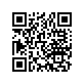 13021-381-003 Ring set (os) (0.25)