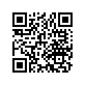 13021-383-620 RING SET (0.25)