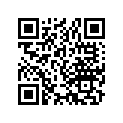 13021-410-601 Ring set (os) (0.25)