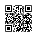 13021-428-005 Ring Set (os) (0.25)