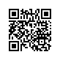 13021-HM7-004 RING SET (OS) (0.25)
