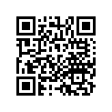 13021-KV0-671 Кольца поршневые (комплект)