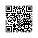 13021-KVZ-640 Комплект колец