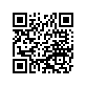 130240552 Ring-set-piston Ll, O/