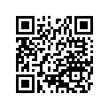 130255026 Ring-set-piston, L