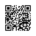 13029-2128 (I/X)ピストン(エンジンエル),0.50