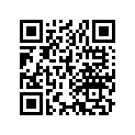 13030-266-000 Ring set (os) (0.50)