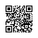 13030087004 RING-SET,PISTON