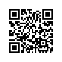 13031-030-000 RINGSET(OS)(0.50)