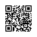 13031-168-003 Комплект колец