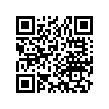 13031-329-005 Ring set (os) (0.50)