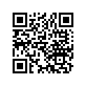 13031-383-000 Ring set (os) (0.50)